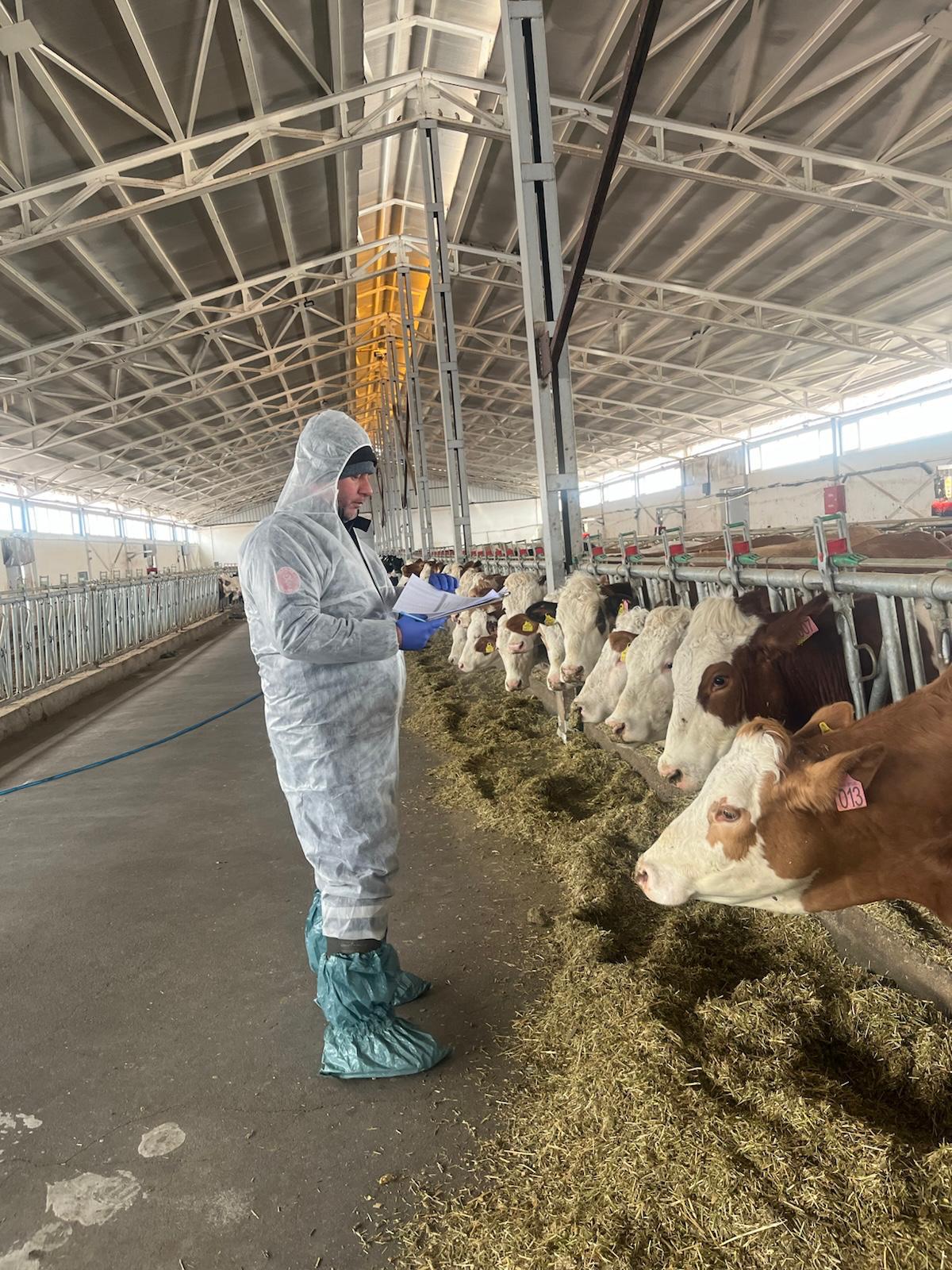 Erzincanda Ari Işletme Çalışmaları (6)