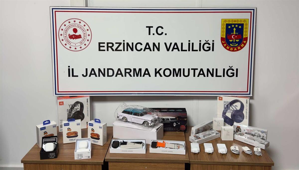 Erzincan Jandarma Operasyonları (3)