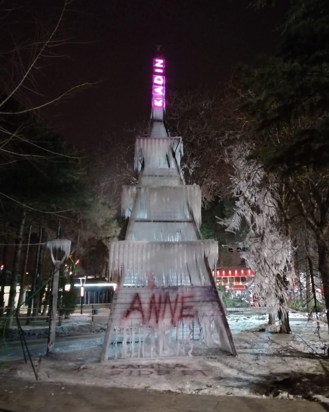 Erzincan’da Kadın Gününde Dikkat Çekilen Ilginç Hatıra Mehmet Kavukçu 2