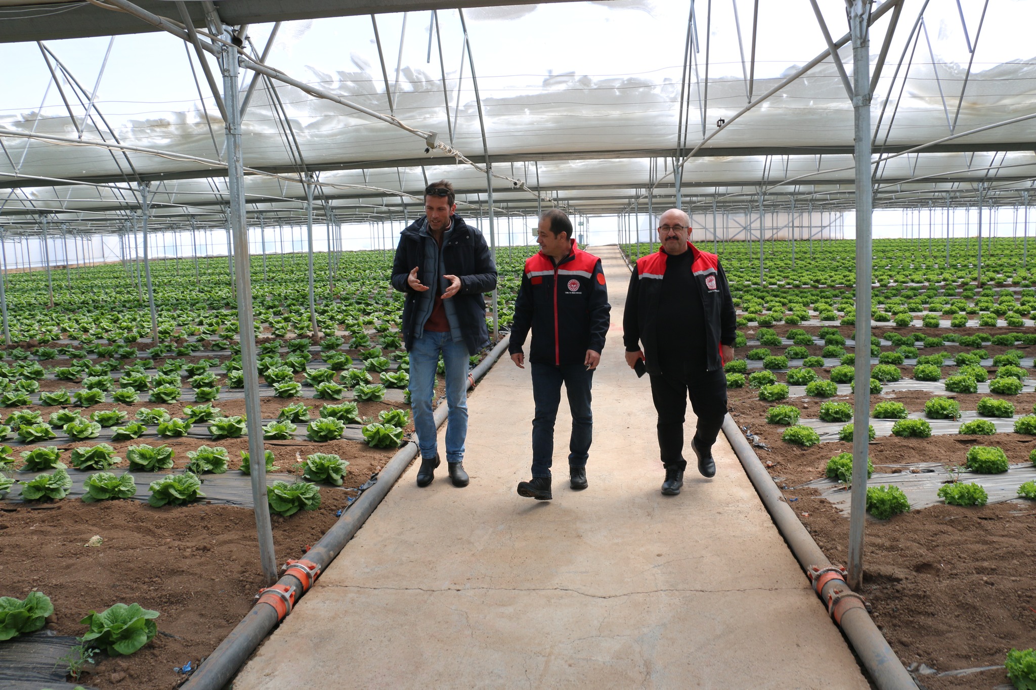 Erzincan Seralarında Yılda 3 Ürün Dönemi… (8)