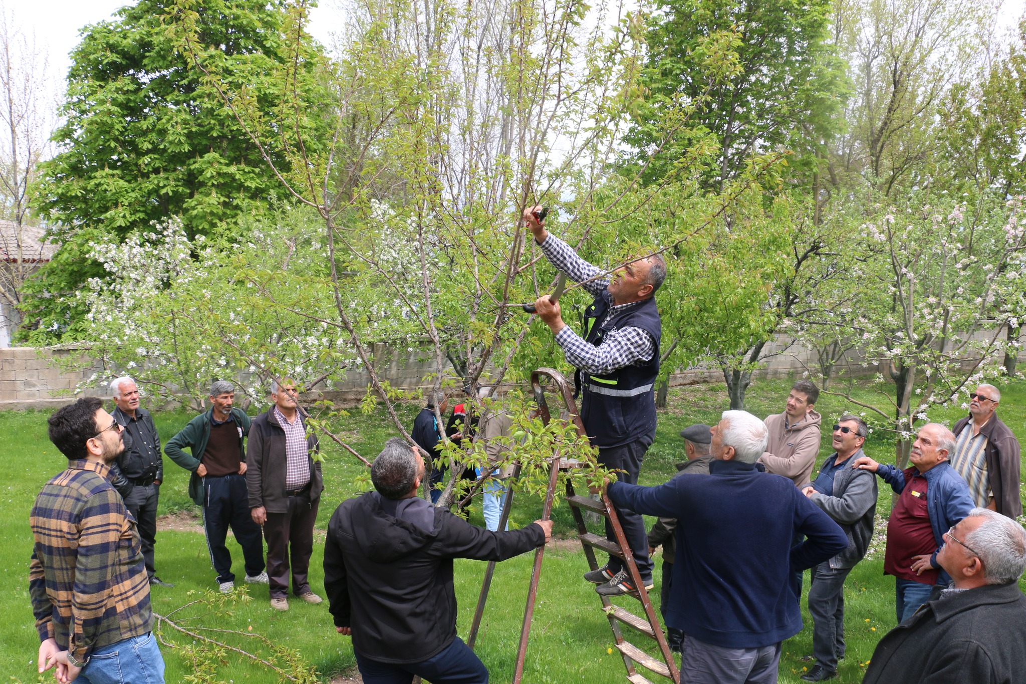 Çiftilere Bahçelerde Uygulamalı Eğitim (3)