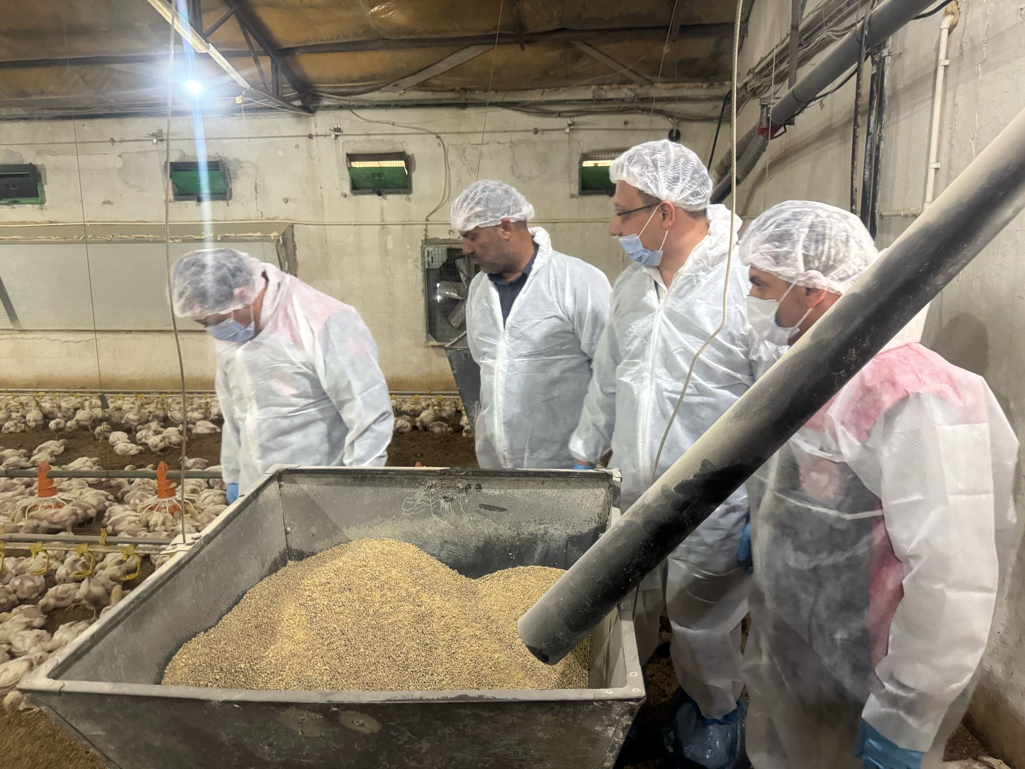 Erzincan Broiler Sektörü (7)