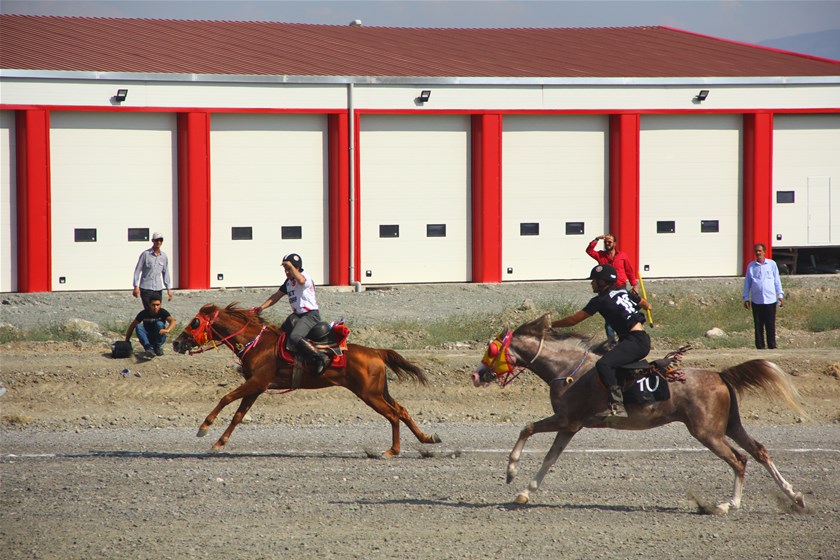 Erzincan Cirit