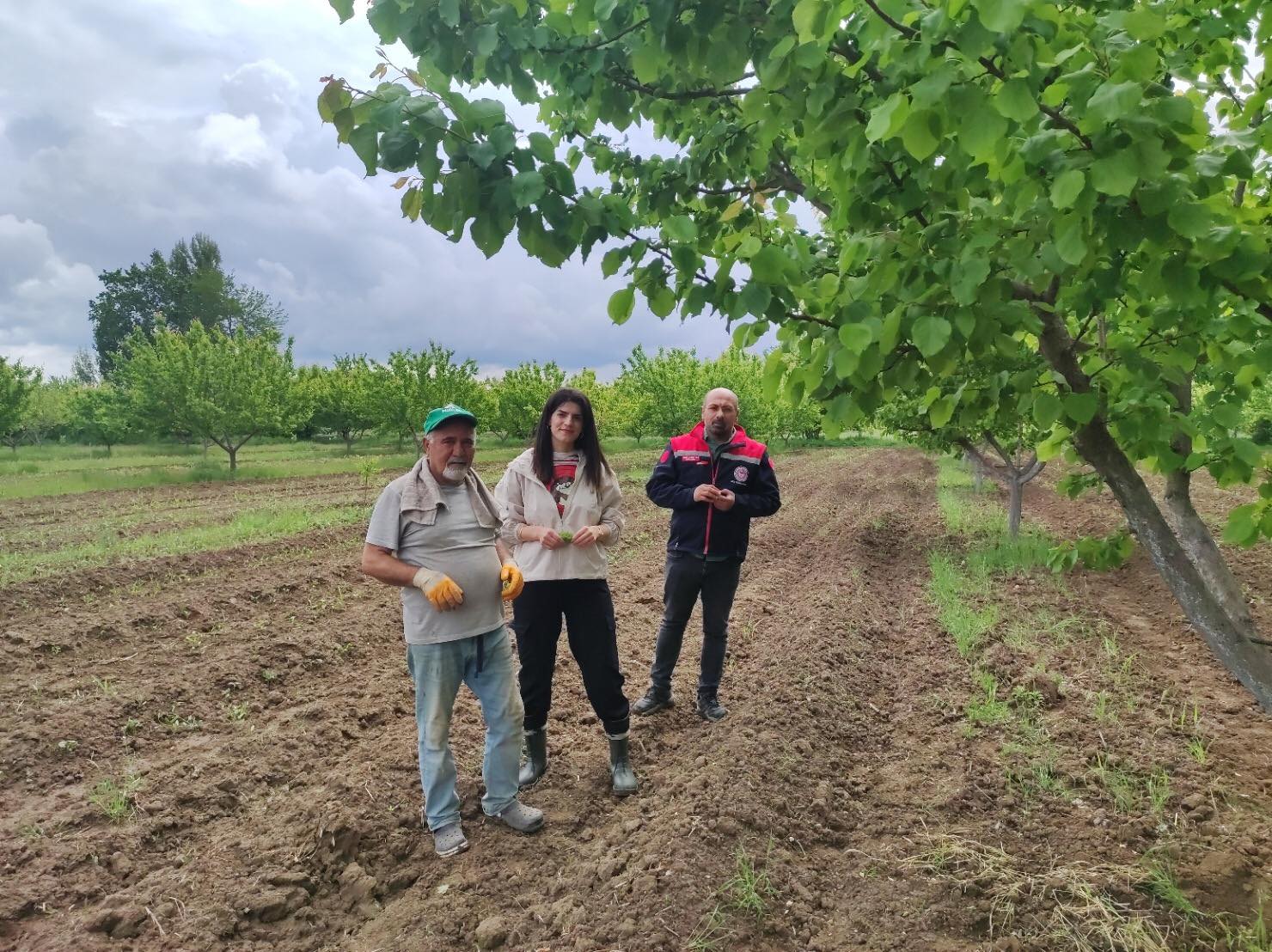 Erzincan Ekibi Iğdırda Kayısı Bahçelerini Kontrol Etti (3)
