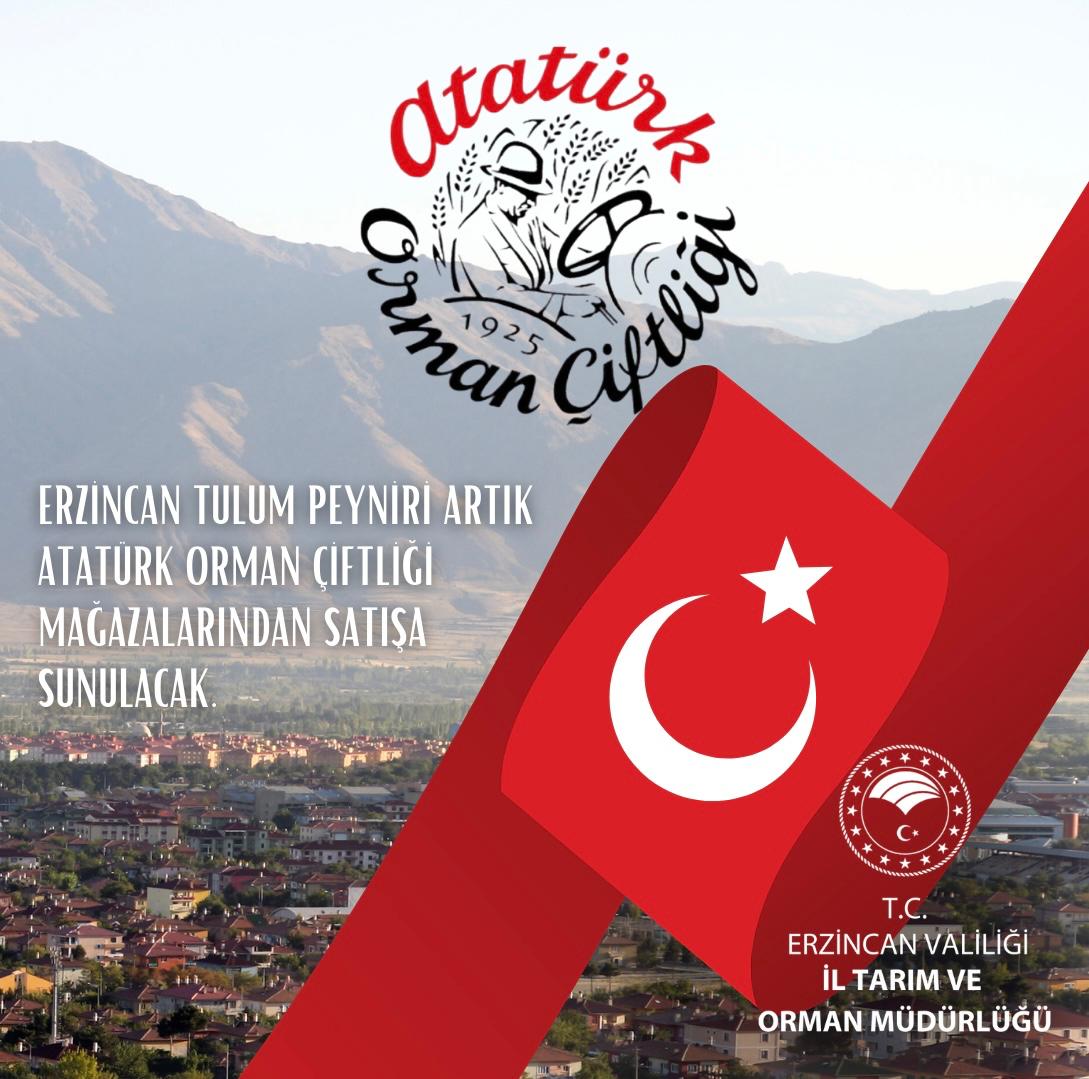 Erzincan Tulum Peyniri Atatürk Orman Çiftliği Mağazalarında (3)