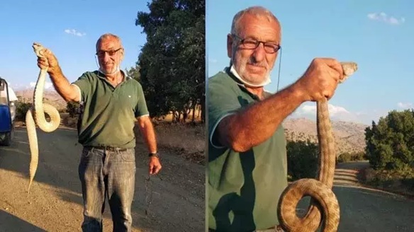 Erzincan Yılan 1