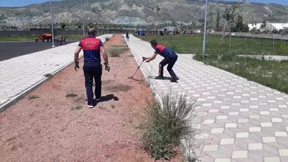 Erzincan Yılan