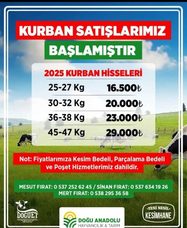 Erzincan’da Kurbanlık Fiyatları (2)