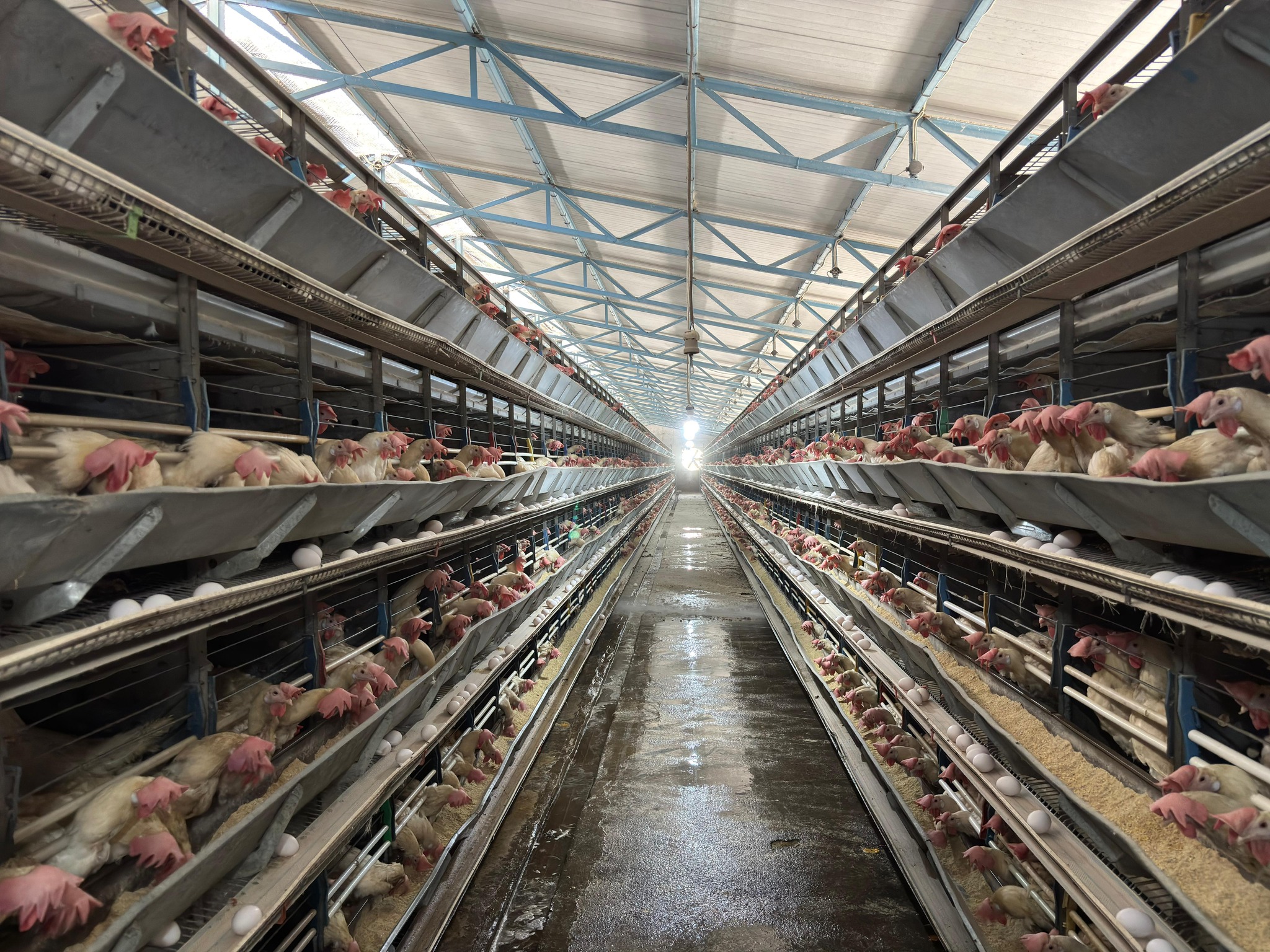 Erzincanda Tarıma Yatırım Sürüyor (11)