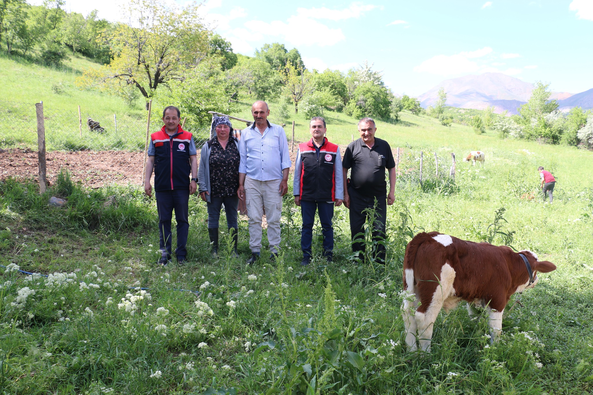 Gürcistanlı Nino Erzincan Tarımına Renk Katıyor (1)