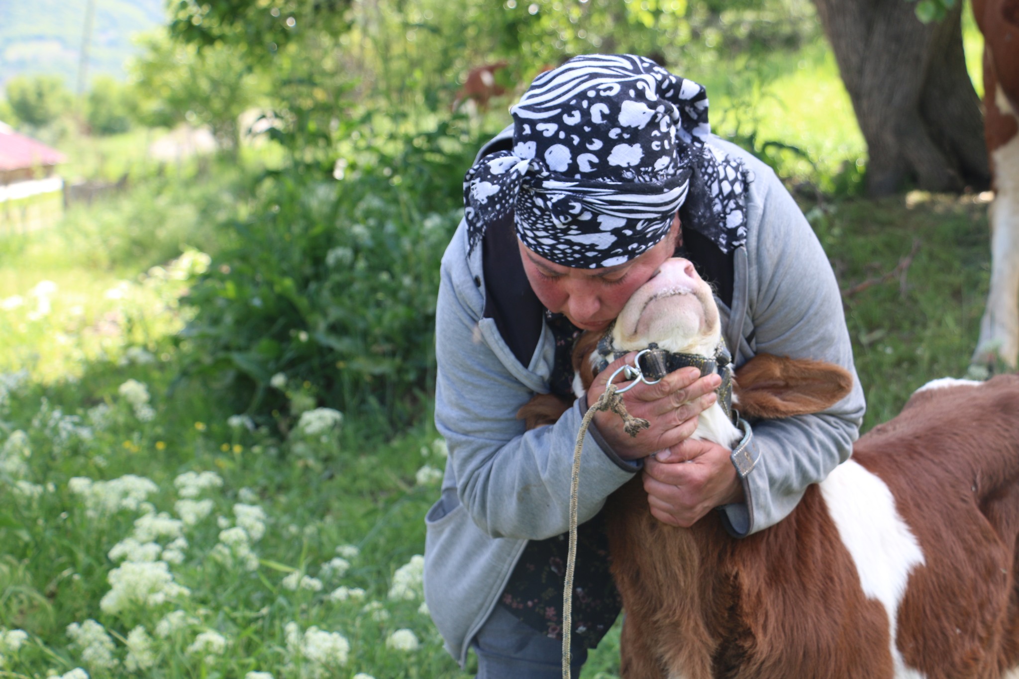 Gürcistanlı Nino Erzincan Tarımına Renk Katıyor (7)