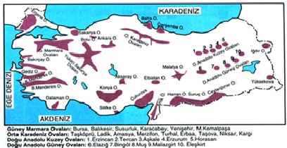 Türkiye Ovaları 24 1