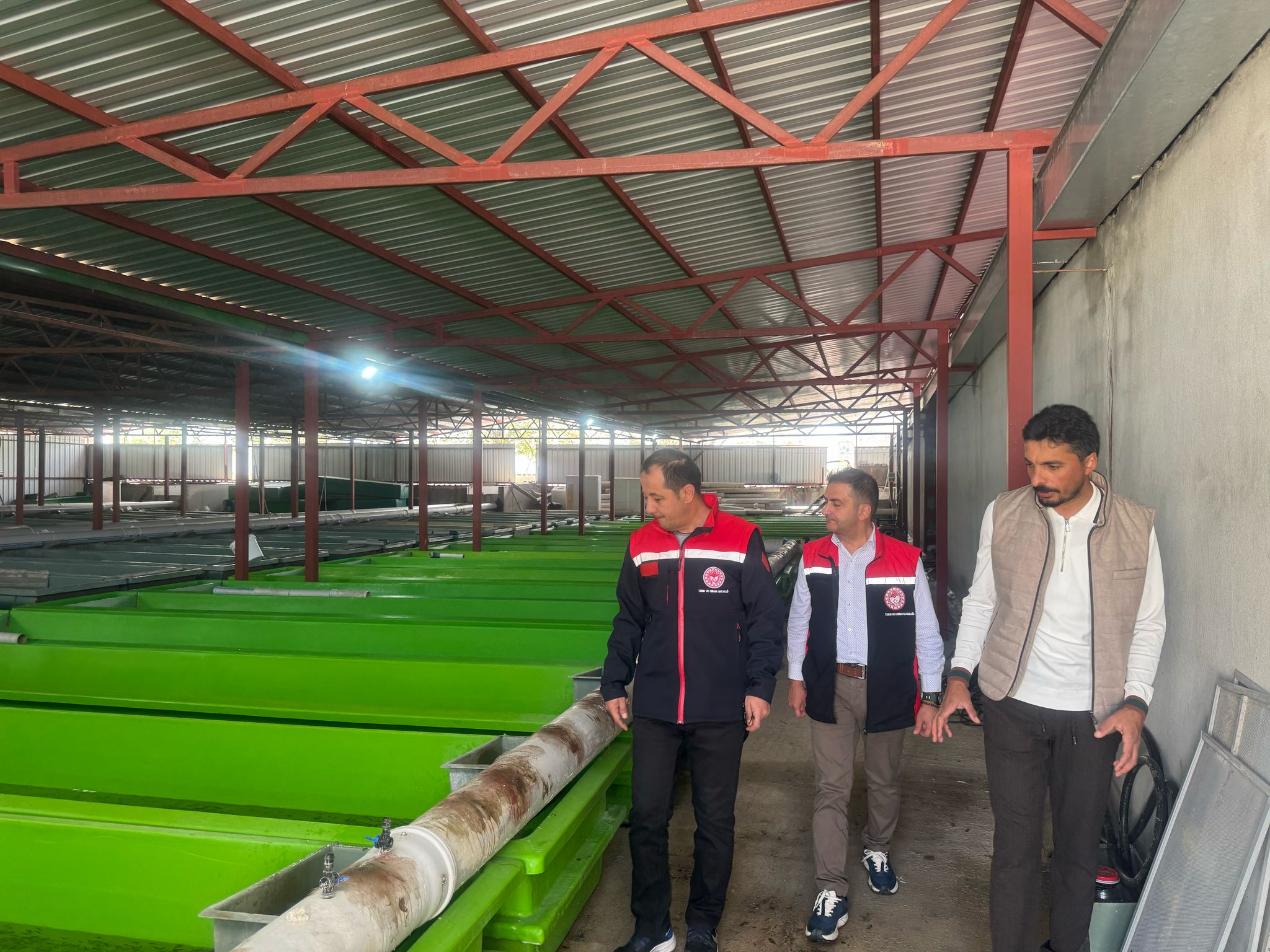 Yılda 15 Milyon Yavru Ü (7)