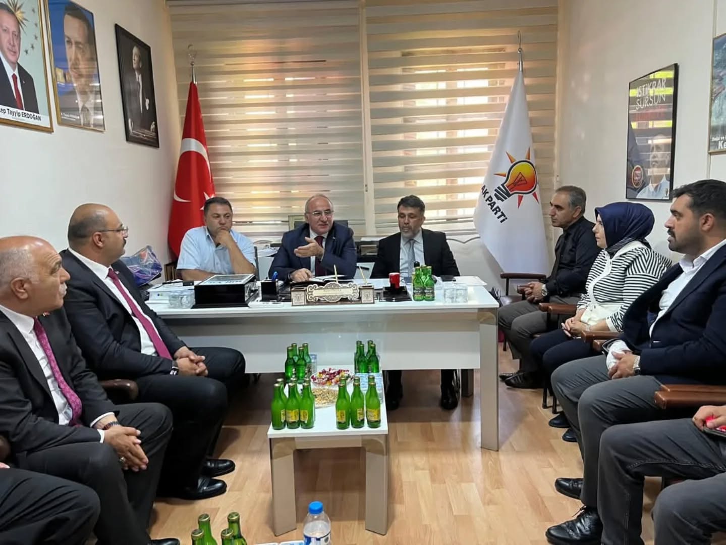 Ak Parti Kemaliye (4)