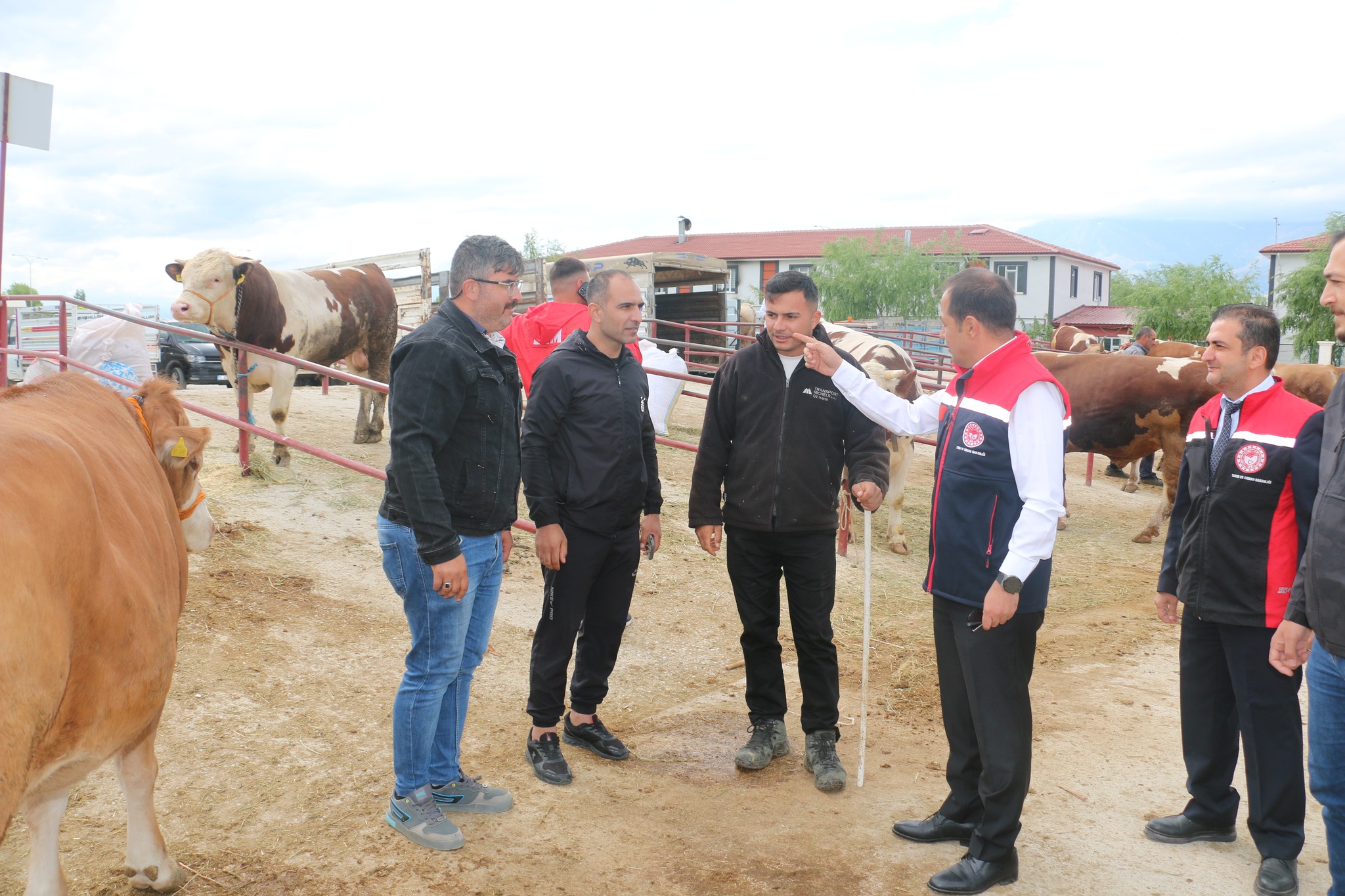 Erzincan Hayvan Pazarında Bayram Yoğunluğu (9)
