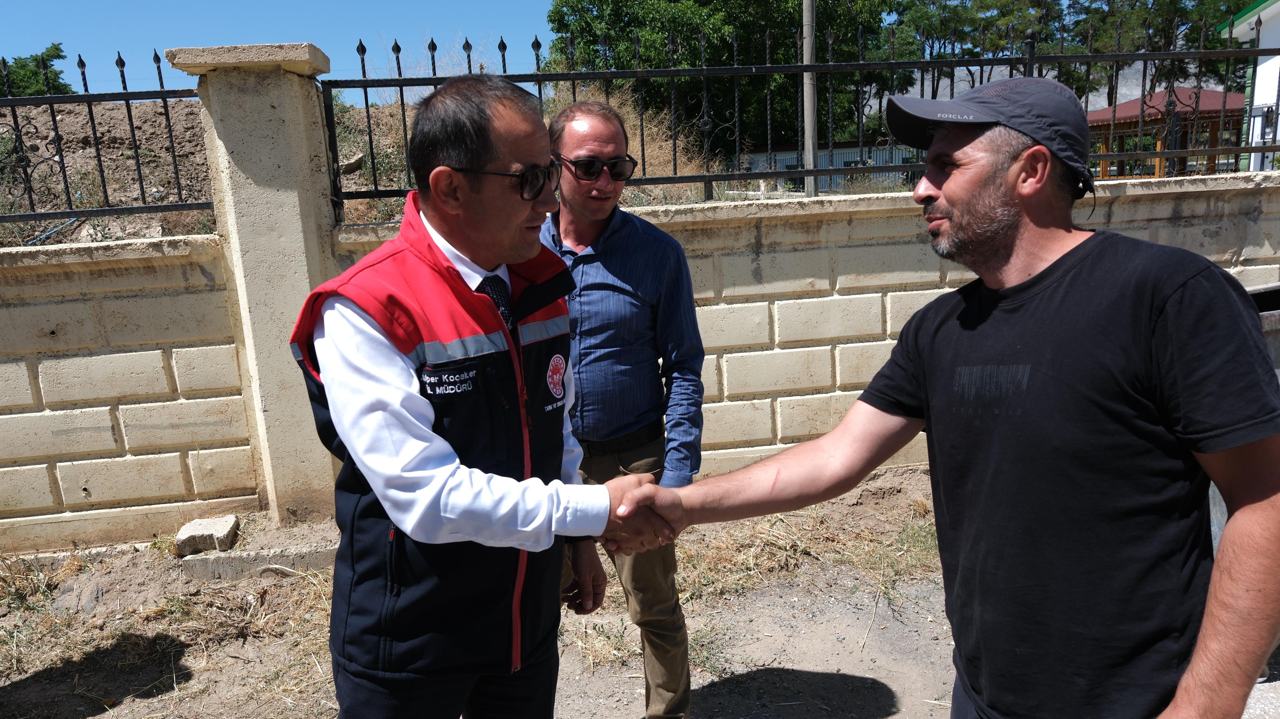 Erzincanda Ilk Hasat Ve Ilk Alım (1)