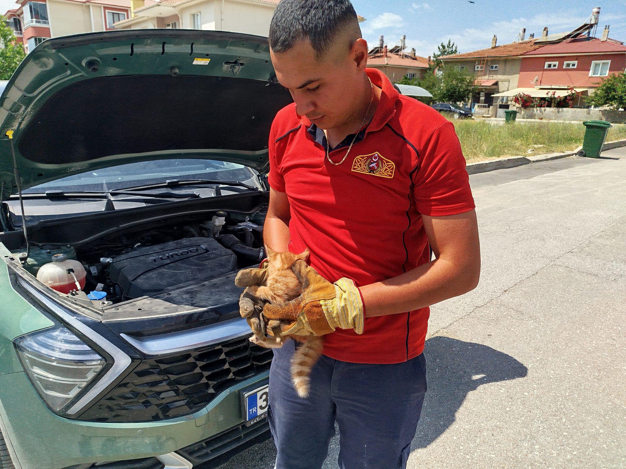 Erzincan'da Yavru Kediler Kurtarıldı (1)