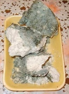 Küflü Peynir 1