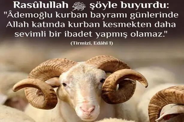 Kurban Bayramı 1