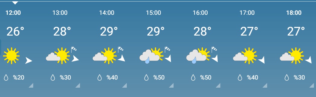 Pazar 22.06.2025
