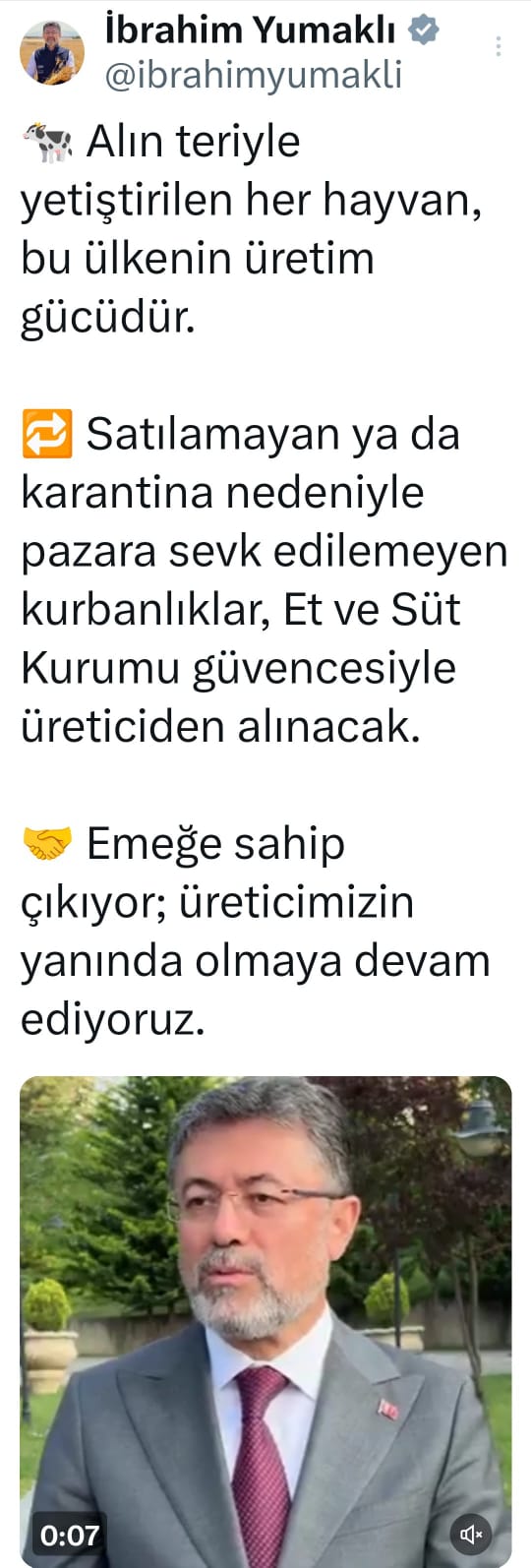 Satılamayan Kurbanlıklar ET SÜT Kurumuna