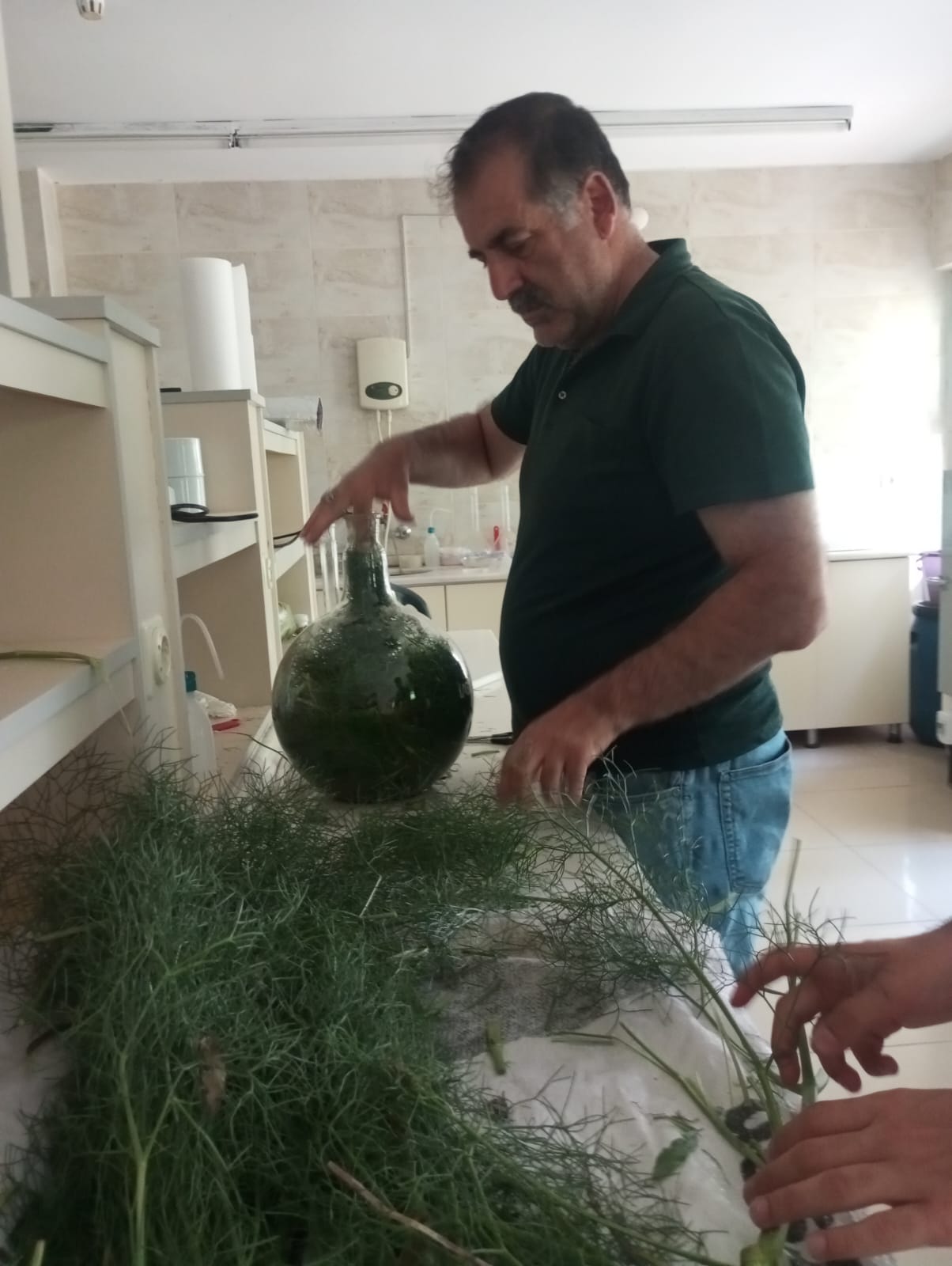 Çakşır Otu Projesi (8)