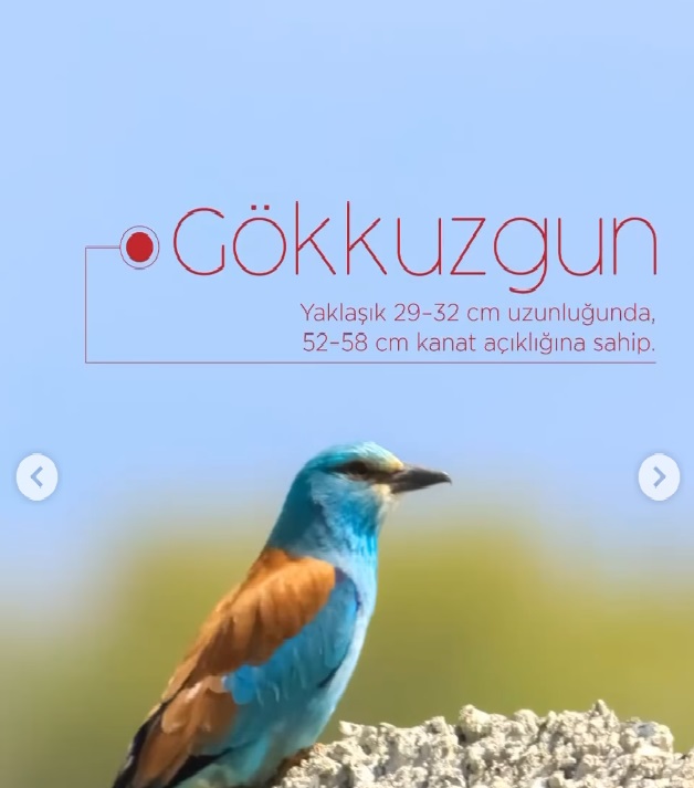 Ekşisu1-4
