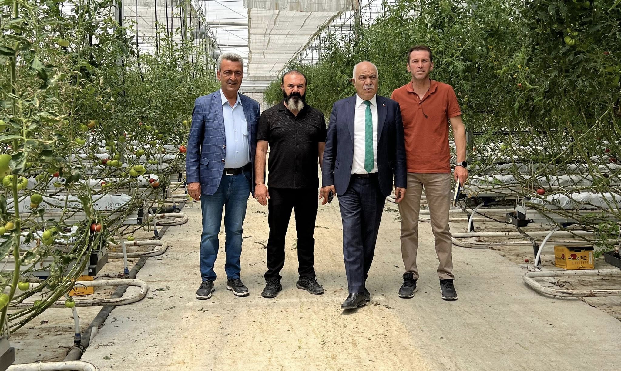 Erzincan Jeotermal Sera Üretim (2)