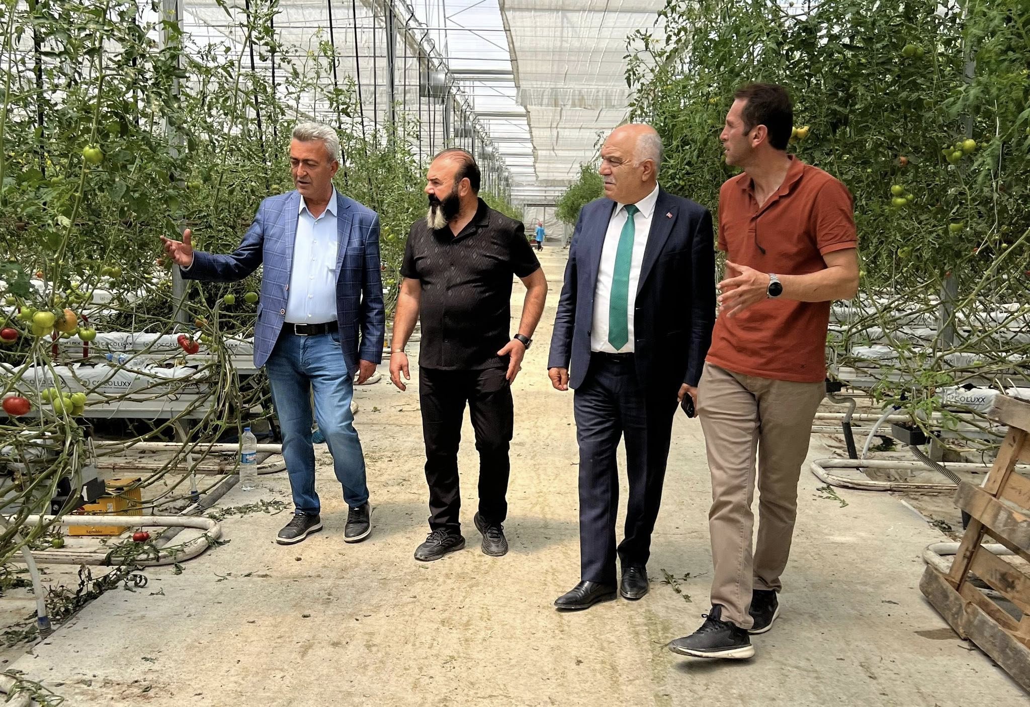 Erzincan Jeotermal Sera Üretim (4)