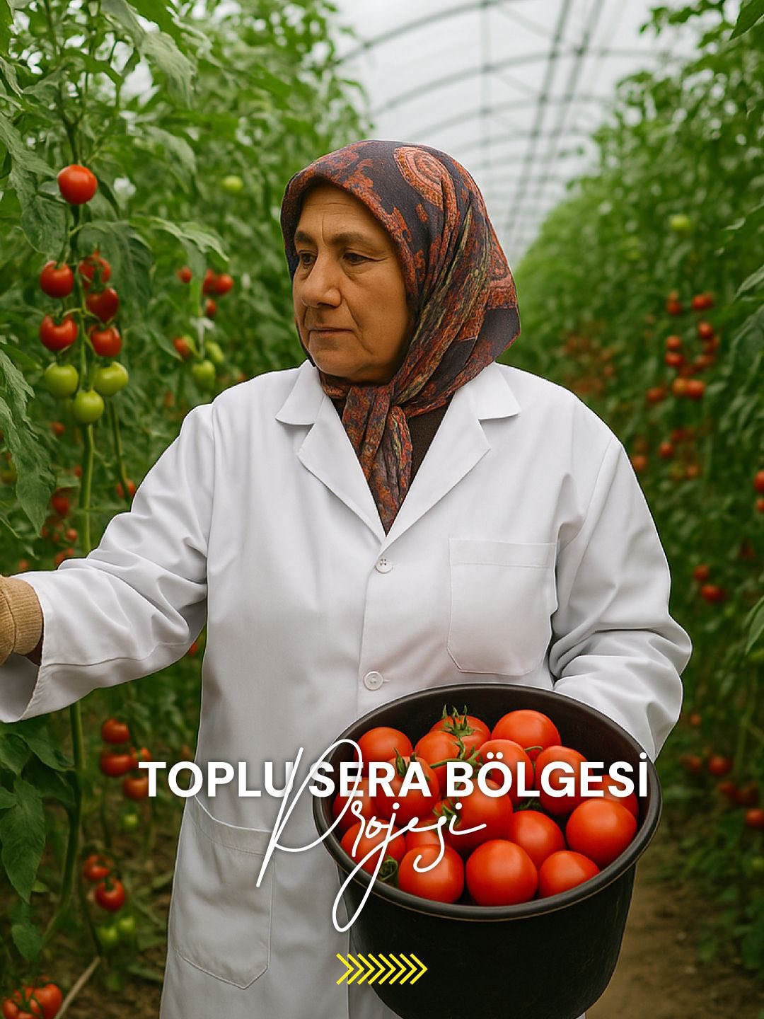 Erzincan Toplu Sera Bölgesi (4)-1