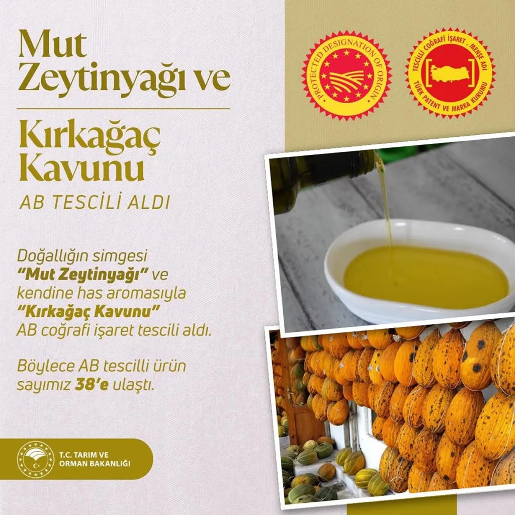 Kırkağaç Zeytinyağı Onay