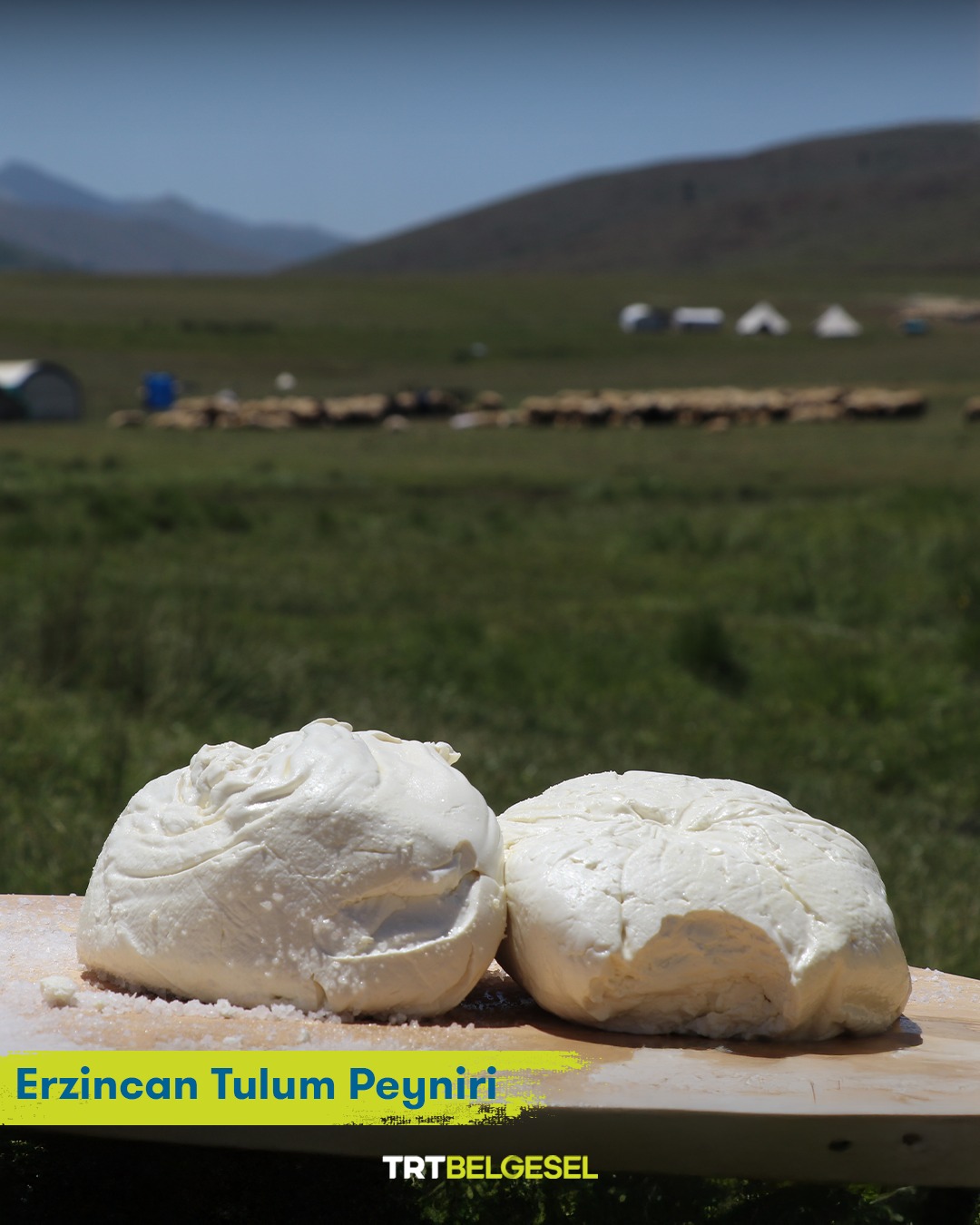 Trt Belgesel Erzincan Paylaşımı (13)