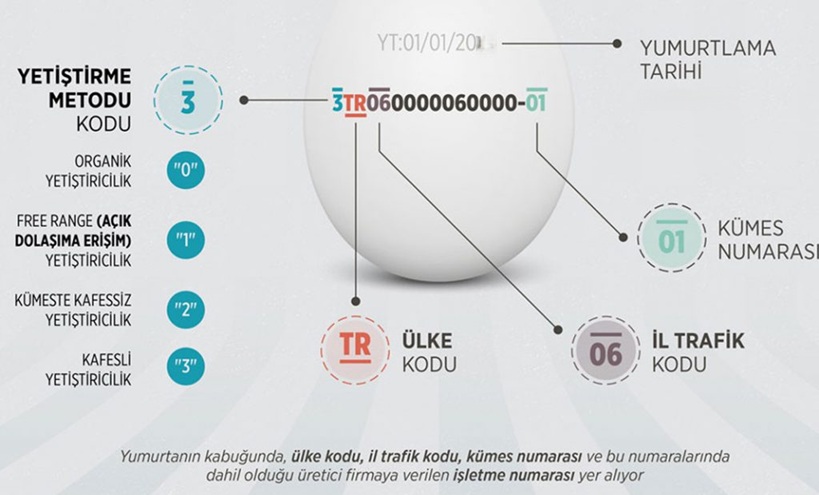 Yumurta Kodları Anlamı