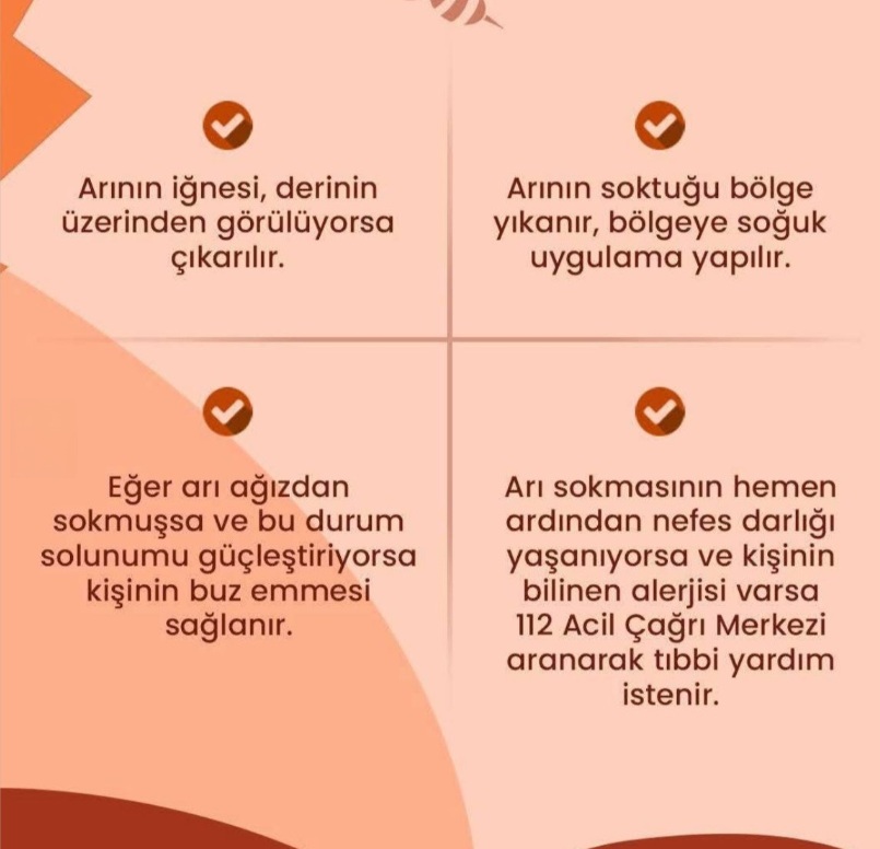 Arı Sokması Belirti Önlem