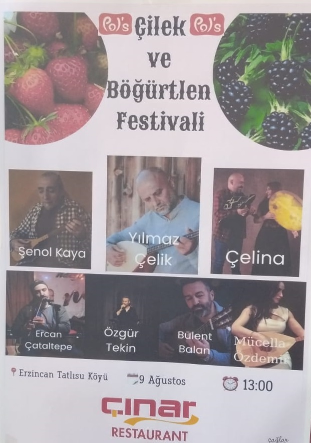 Böğürtlen Festivali