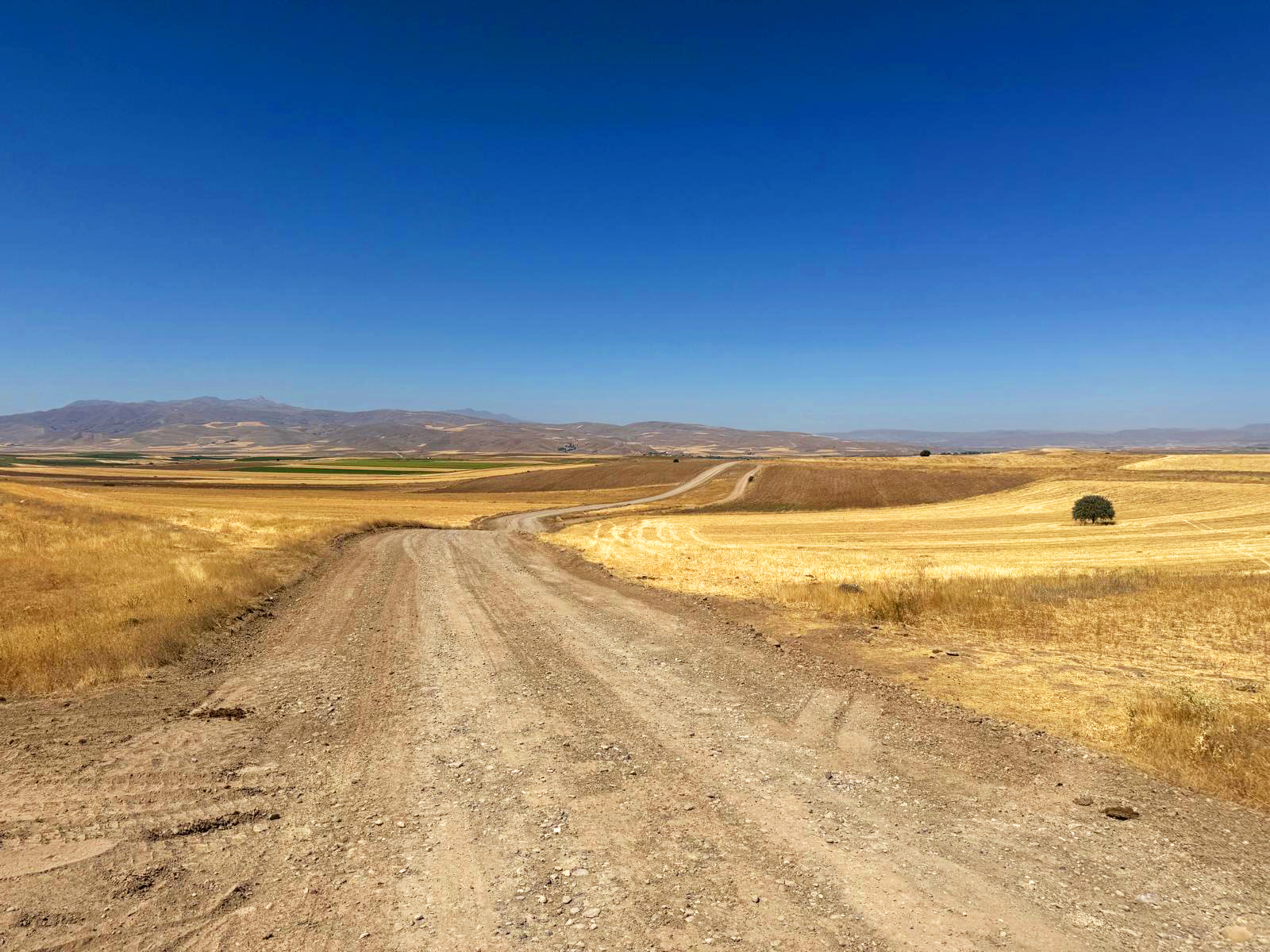 Dsi Erzincan Çalışmaları (5)