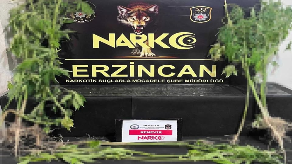 Emniyet Müdürlüğü Uyuşturucu