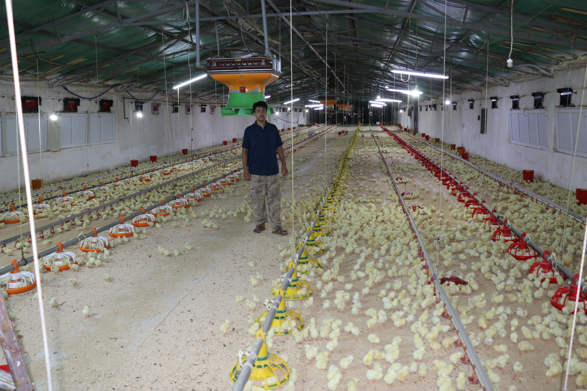 Erzincan Broiler Sektörü (8)