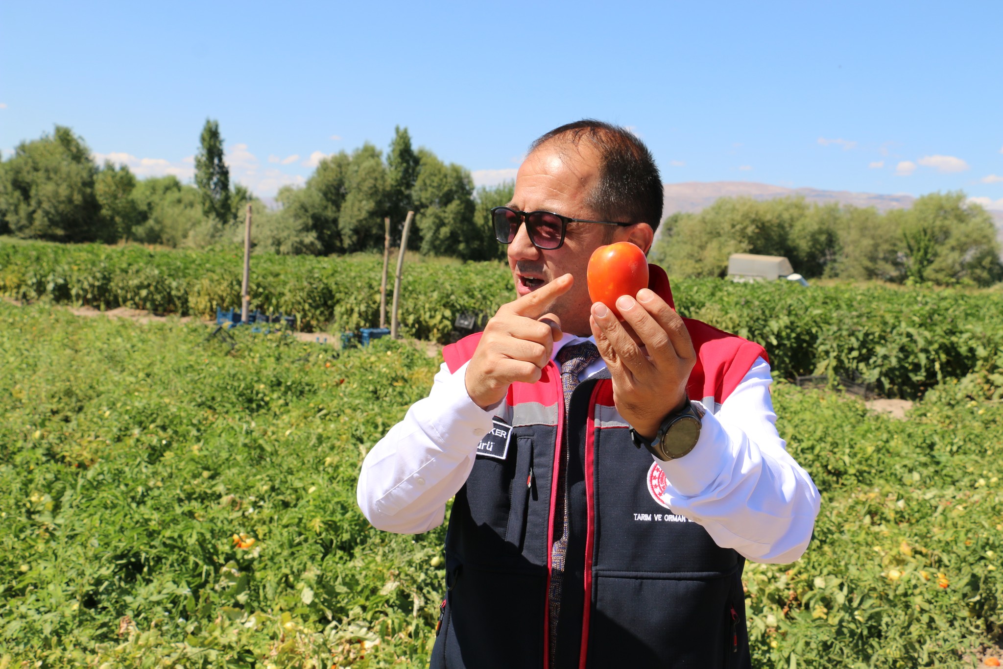 Erzincan Sebzecilik (3)