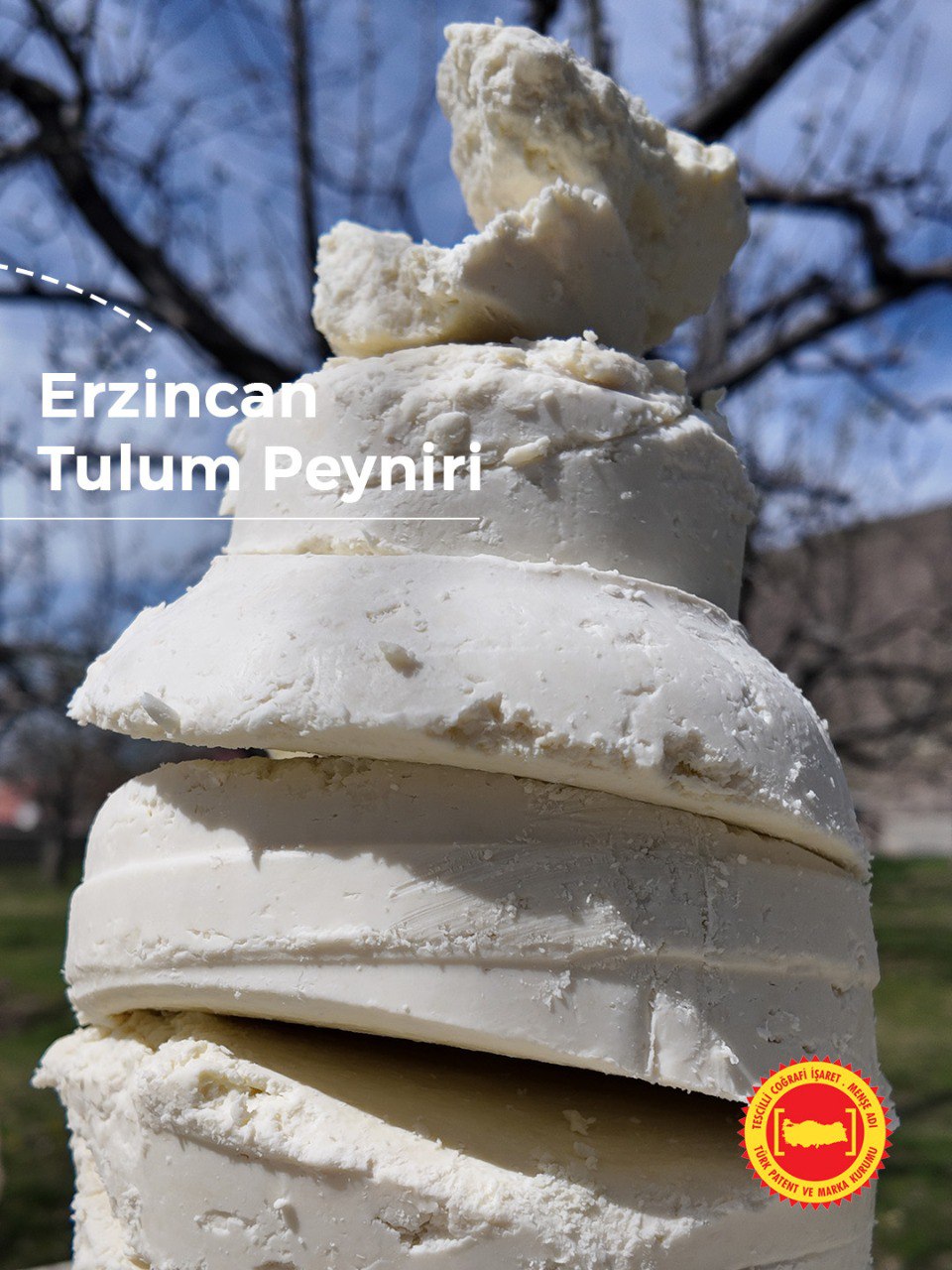 Erzincan Tulum Peyniri-2