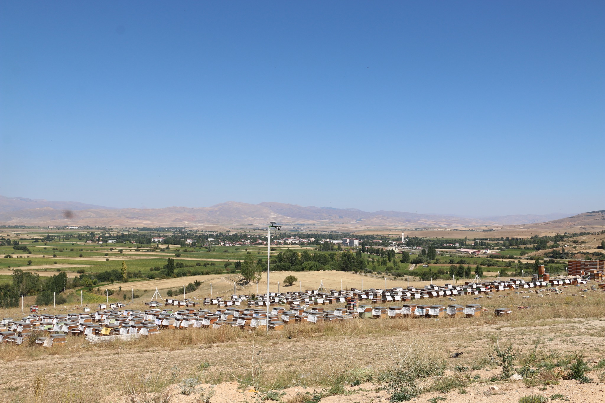 Erzincan’da 1200 Kovanıyla Üretime Destek Sağlıyor. (4)