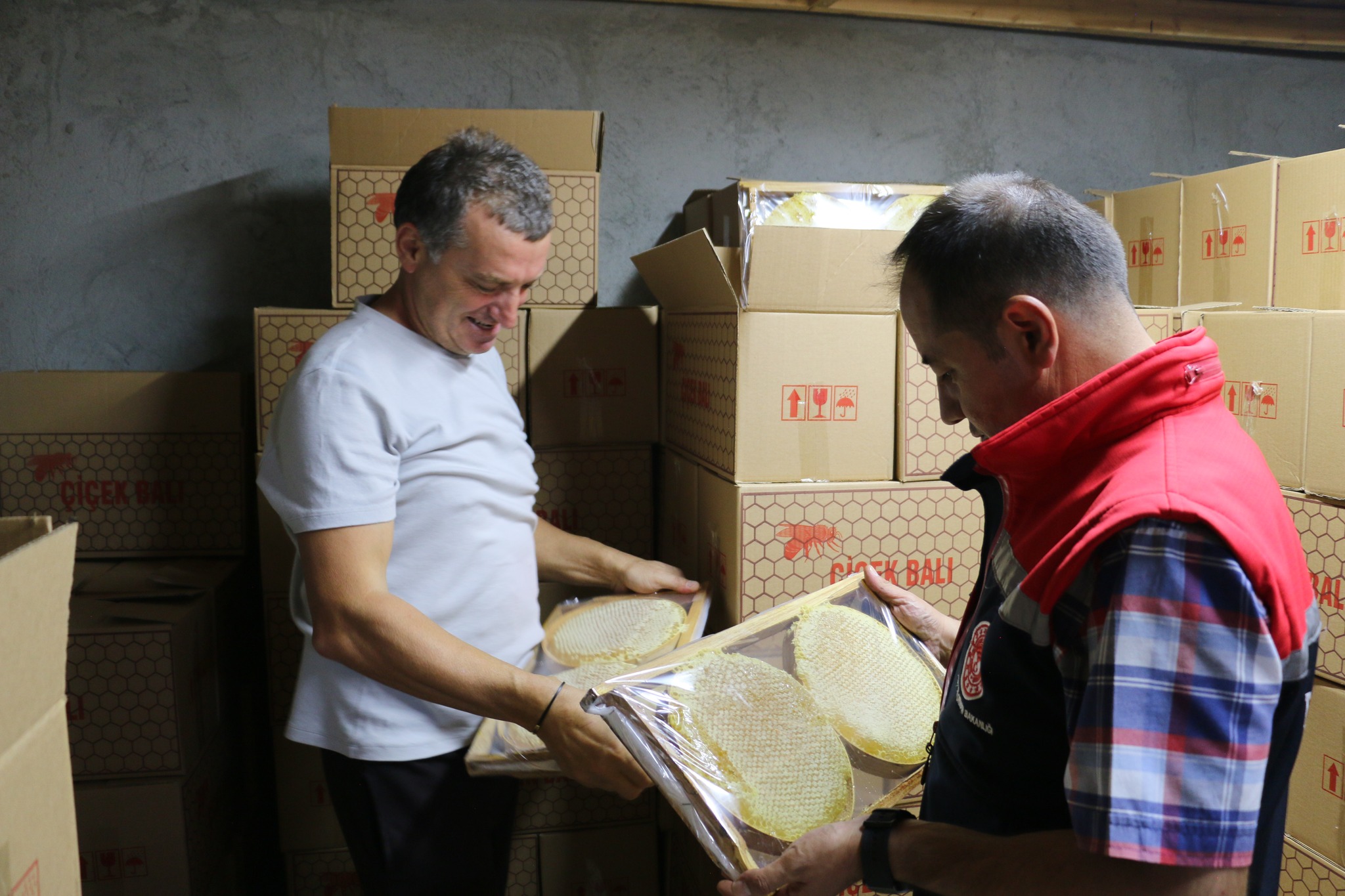 Erzincan’da 1200 Kovanıyla Üretime Destek Sağlıyor. (9)