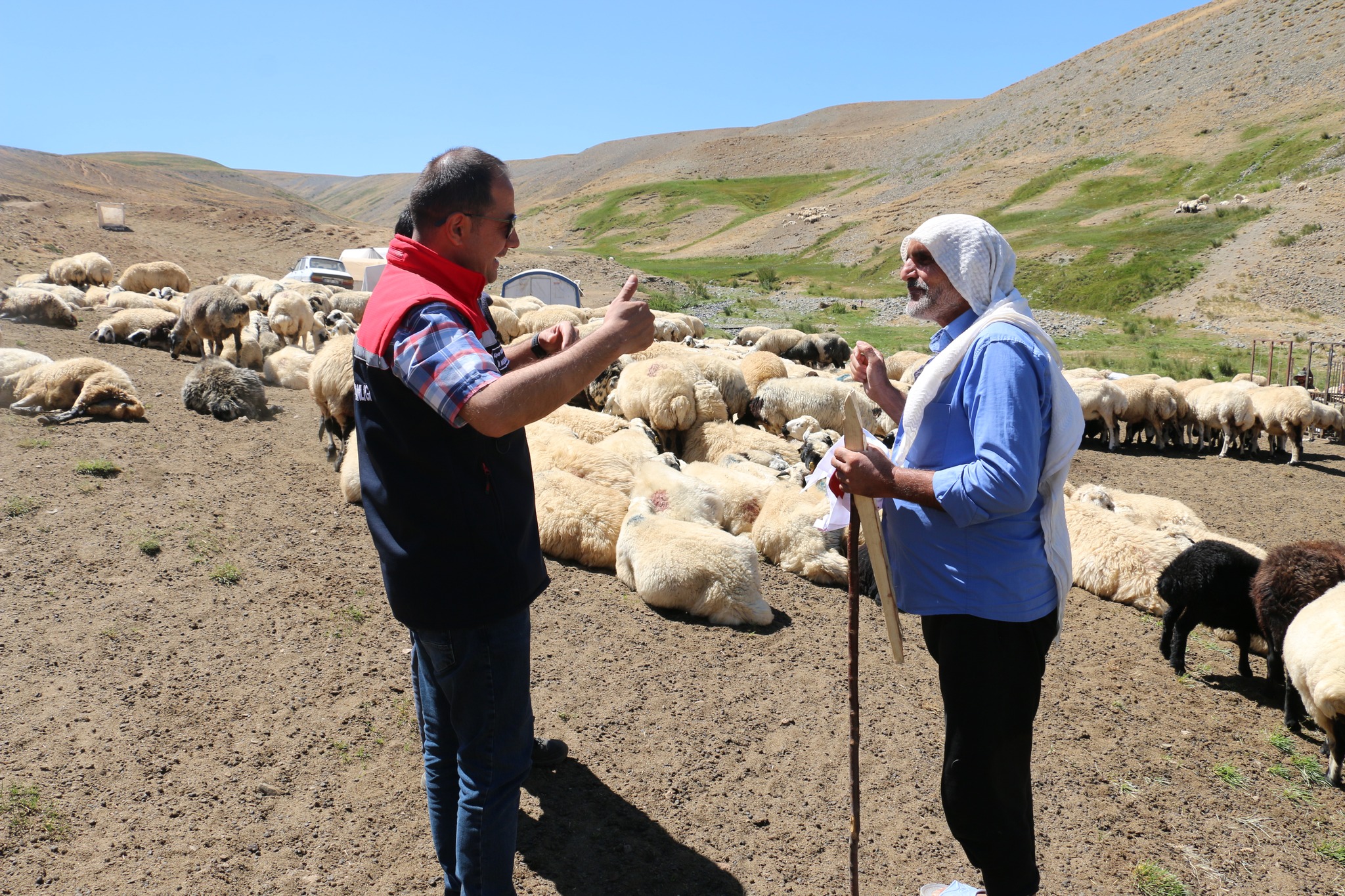 Erzincanda 2400 Metre Yüksekte Üretim (14)