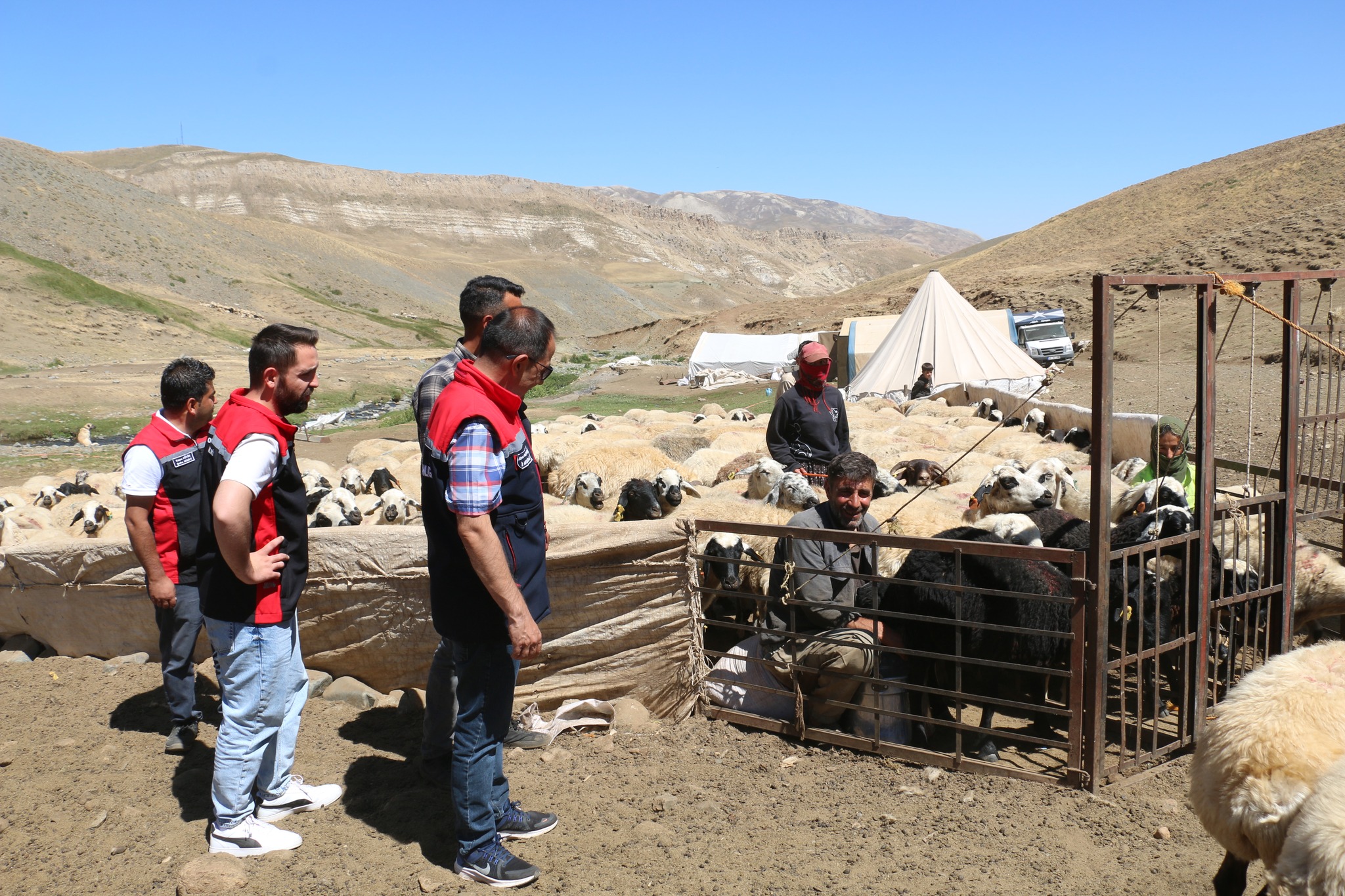 Erzincanda 2400 Metre Yüksekte Üretim (16)