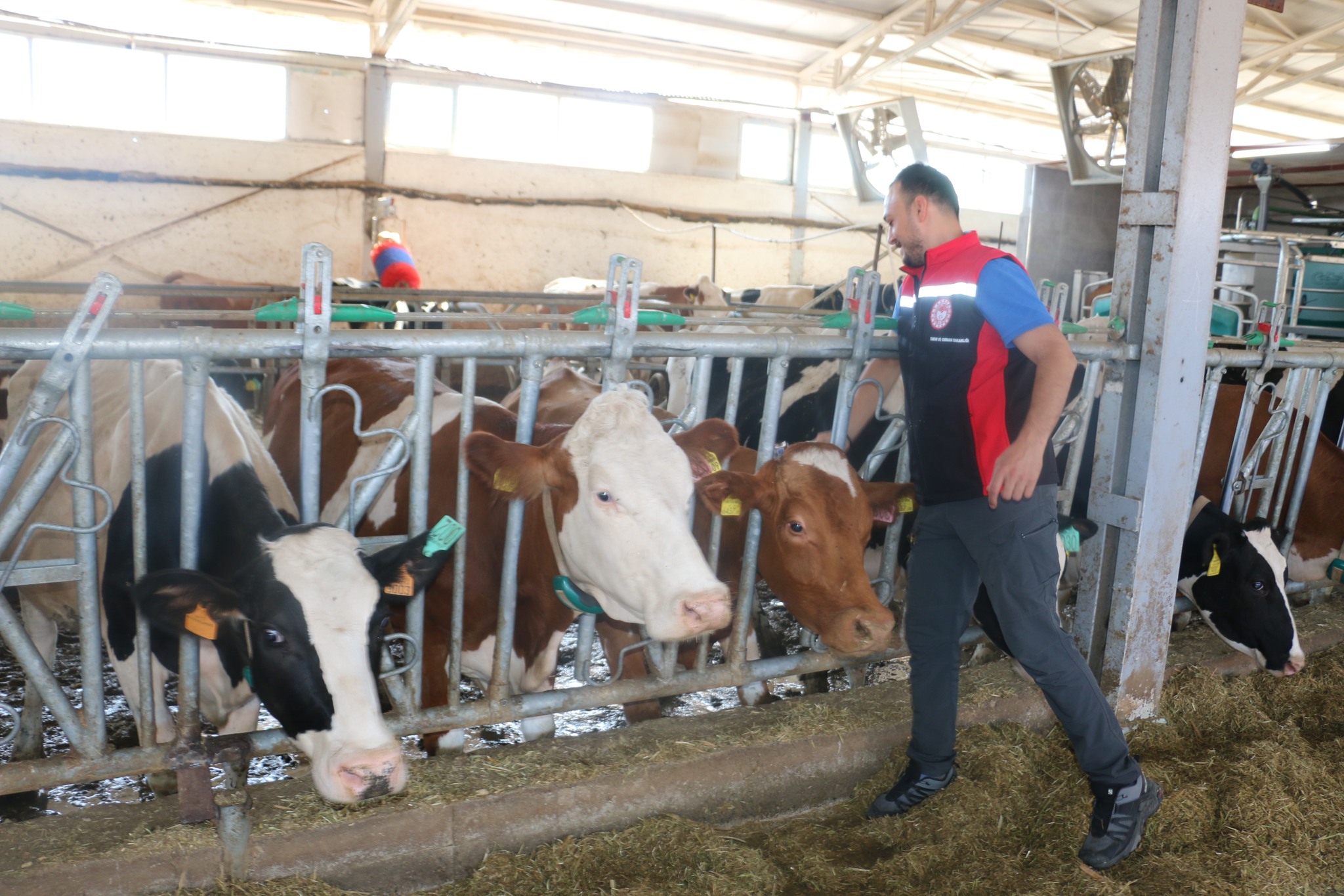 Erzincan’da Ekipler Teyakkuza Geçirildi (12)