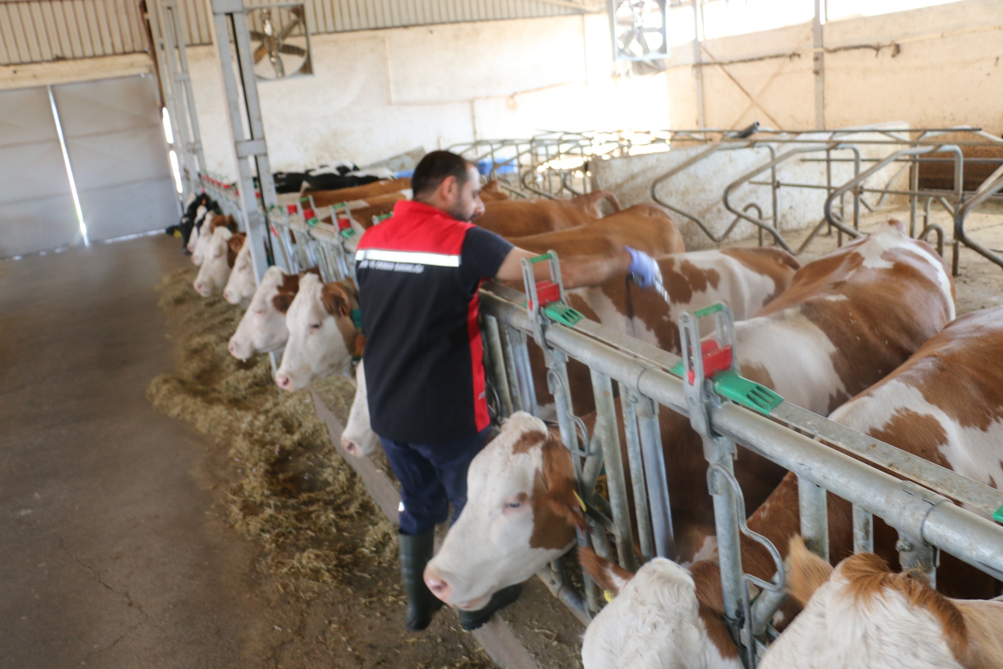 Erzincan’da Ekipler Teyakkuza Geçirildi (7)