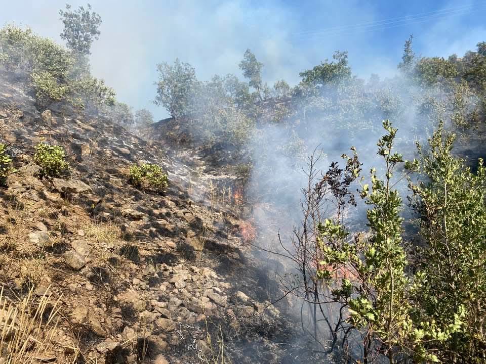 Erzincan’da Orman Yangını Muhtar Ve Ekibi Alevlere Karşı Seferber Oldu