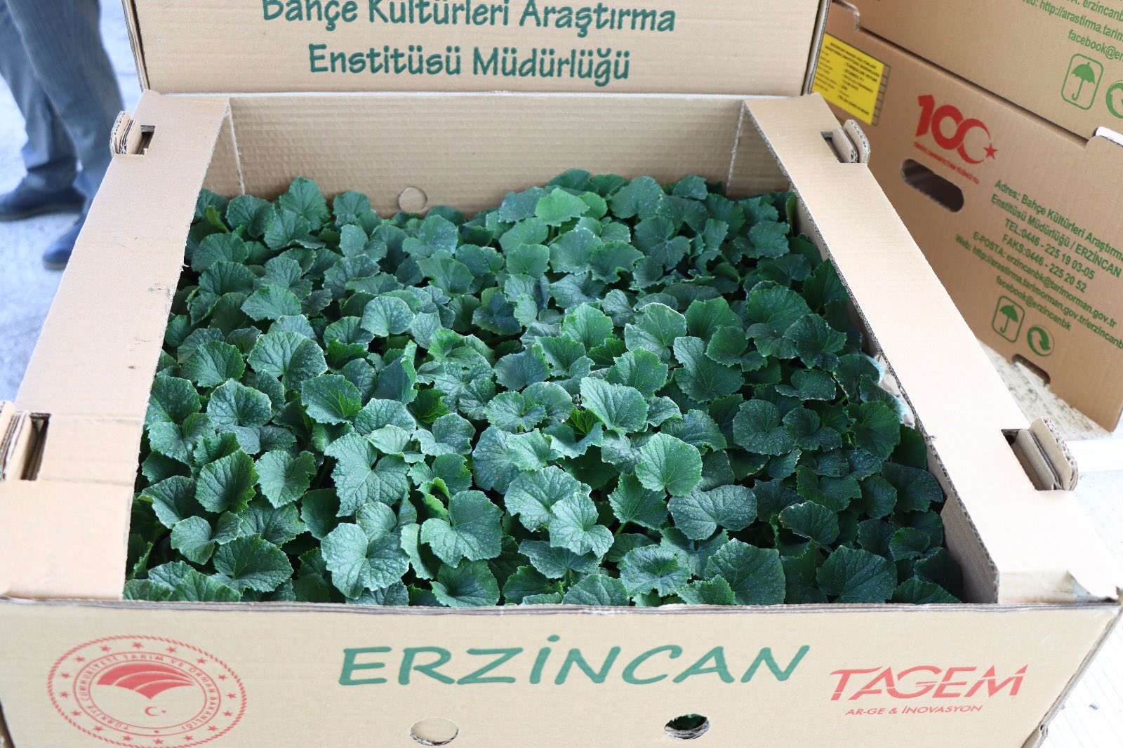 Erzincan’dan Muşa Fide (3)