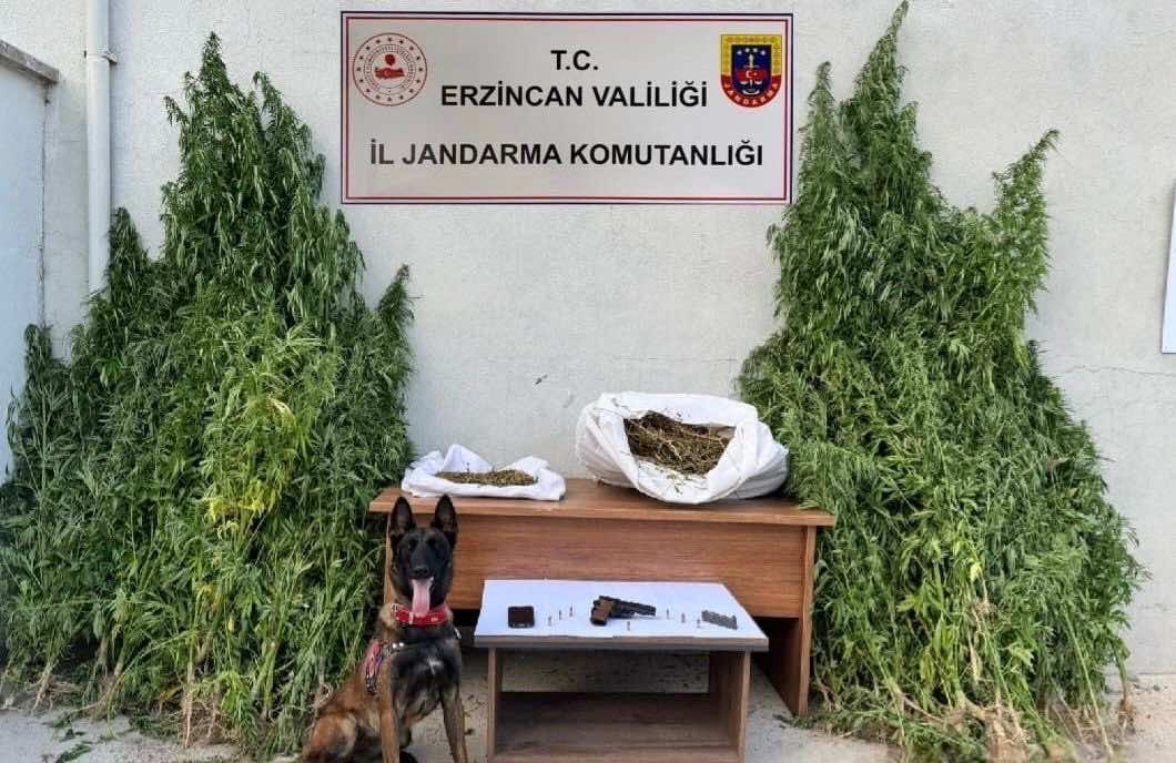 Jandarma Operasyon (1)