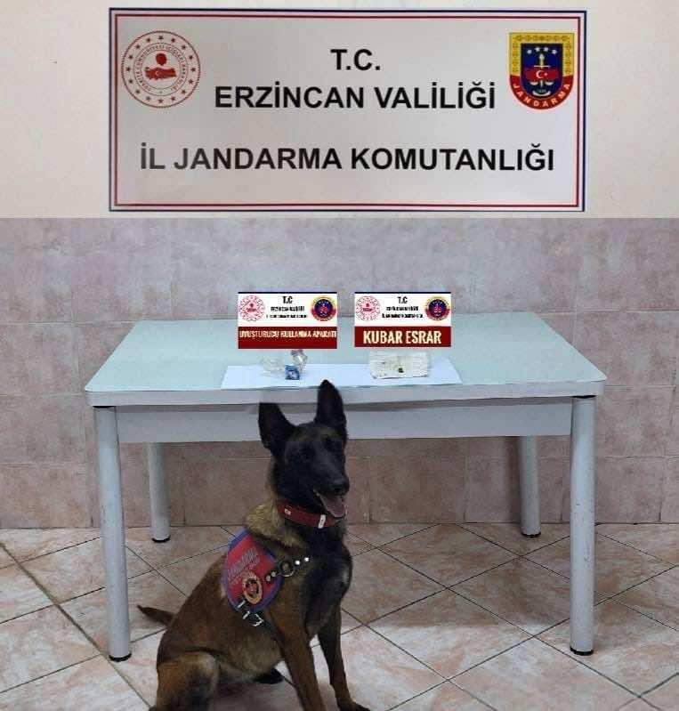 Jandarma Temmuz Faaliyetleri (3)